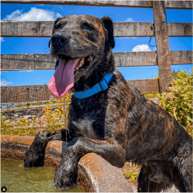 Image of Course and Kai