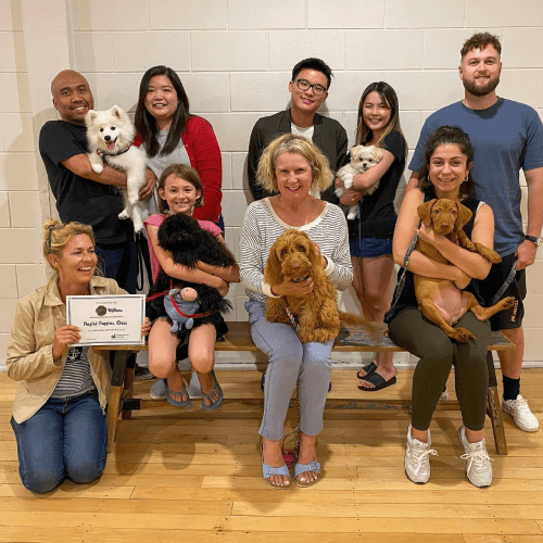 Waterspray on Jolly Dog